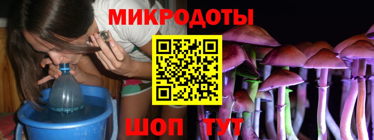Галлюциногенные грибы Psilocybe  Вход с VPN  где найти наркотики  Миллерово  Псилоцибиновые грибы мухоморы 